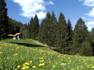 Percorso alla Sella Liûs