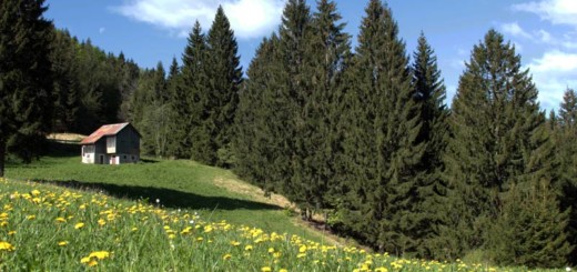 Percorso alla Sella Liûs
