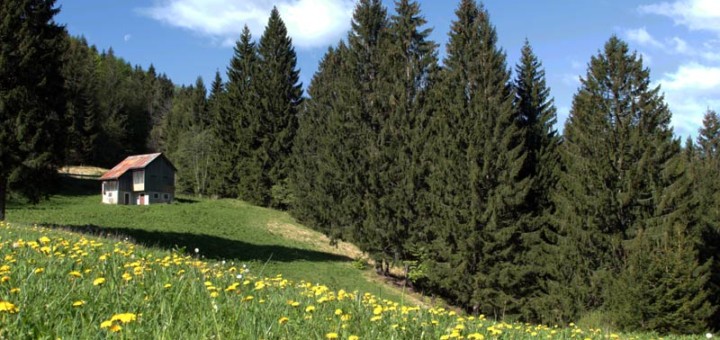 Percorso alla Sella Liûs