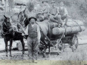 Pietro De Cillia "Pieri di Sjin" a Treppo alla fine dell'800