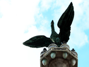 Dettaglio dell'aquila