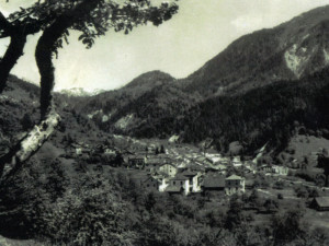 Veduta di Treppo da Zenodis