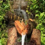 La zona è ricca di sorgenti d'acqua