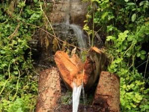La zona è ricca di sorgenti d'acqua