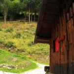 Il nuovo sentiero completamente ristrutturato