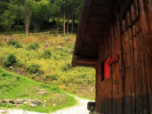 Il nuovo sentiero completamente ristrutturato