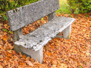 Dettaglio di una panchina un po' malconcia