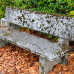 Dettaglio di una panchina in pandan con il verde circostante