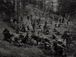 Anni '30 Festa degli alberi: la Maestra è in primo piano a sinistra.