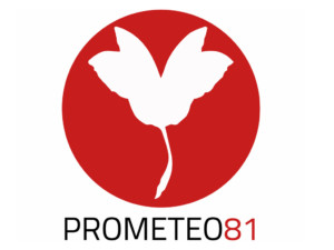 Il nuovo logo rappresentato dalla falena stilizzata "moltitudo"