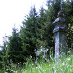 Il verde dei prati che sovrastano Tausia