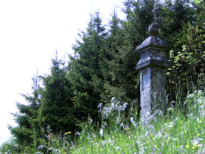 Il verde dei prati che sovrastano Tausia