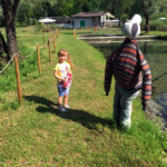 Strana "figura" per spaventare predatori della zona in agguato (quella a destra ovviamente!)