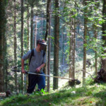 Pulizia annuale del "Plan dai Baraz"