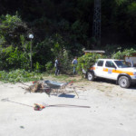 Lavori di ripulitura vicino alla frana in località "ciclamino"