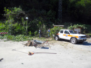 Lavori di ripulitura vicino alla frana in località "ciclamino"