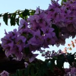 Paesaggi dai colori di straordinaria bellezza..