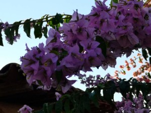 Paesaggi dai colori di straordinaria bellezza..