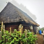 Ad oltre 2000 metri, basta la nebbia perche le temperature calino bruscamente