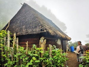 Ad oltre 2000 metri, basta la nebbia perche le temperature calino bruscamente