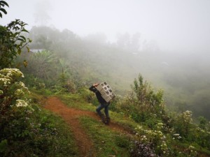 L'unico mezzo di trasporto, la schiena dell'uomo.