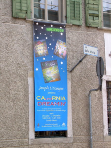 Il banner promozionale all'esterno del Museo Carnico