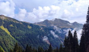 Scorcio di panorama...
