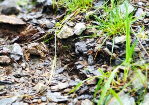 Un simpatico incontro...