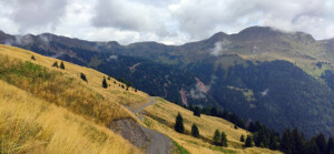 ..a pochi passi dall'arrivo