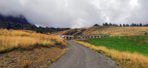 Destinazione raggiunta: Malga Dimon