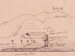 Ricostruzione della zona dove cadde Antonino